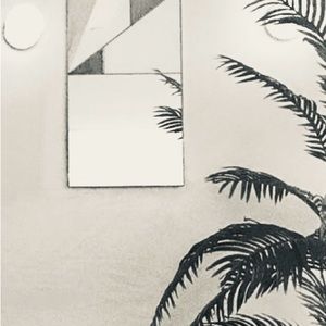 Meet your Posher, Jean